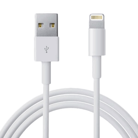 iPhone Lightning Fast Charging Cable